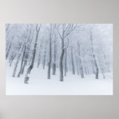 Besneeuwd bevroren bos in de winter poster (Voorkant)
