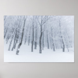 Besneeuwd bevroren bos in de winter poster