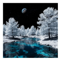 Besneeuwd bos en rustig meer onder de lucht