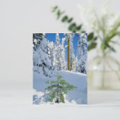 Besneeuwd bos in Oregon Briefkaart (Staand voorkant)