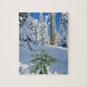 Besneeuwd bos in Oregon Legpuzzel