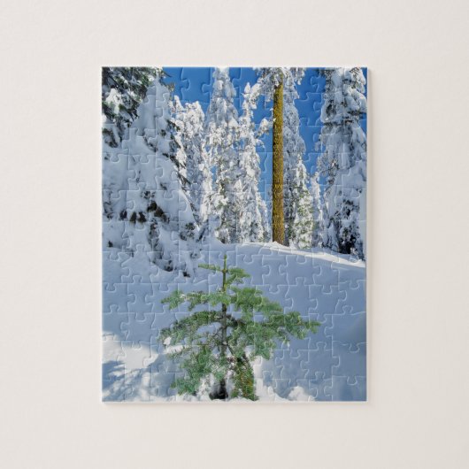 Besneeuwd bos in Oregon Legpuzzel (Verticaal)