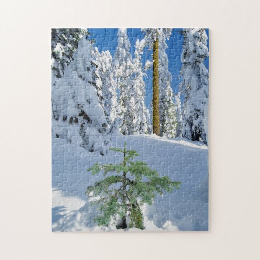 Besneeuwd bos in Oregon Legpuzzel (Verticaal)