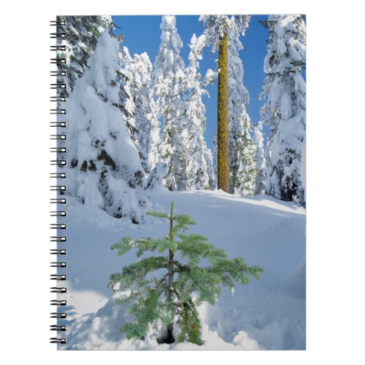 Besneeuwd bos in Oregon Notitieboek (Voorkant)