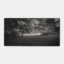 Besneeuwd bos 's nachts