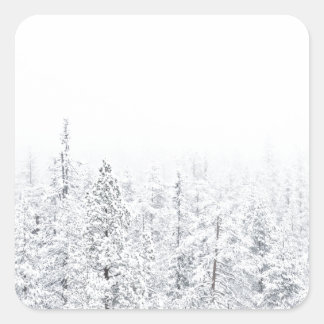 Besneeuwd bos vierkante sticker