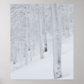 Besneeuwd bos winter wonderland poster (Voorkant)