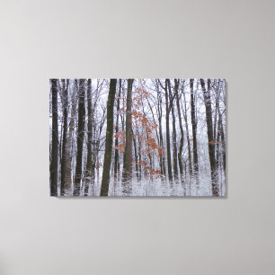 Besneeuwd bos winterlandschap fotografie canvas afdruk