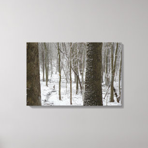 Besneeuwd boslandschap canvas afdruk