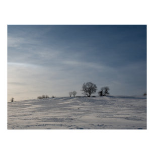 Besneeuwd landschap    perfect poster