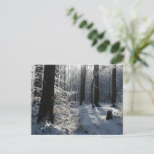 Besneeuwd winterbos pad briefkaart (Staand voorkant)