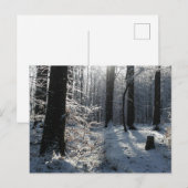 Besneeuwd winterbos pad briefkaart (Voorkant / Achterkant)