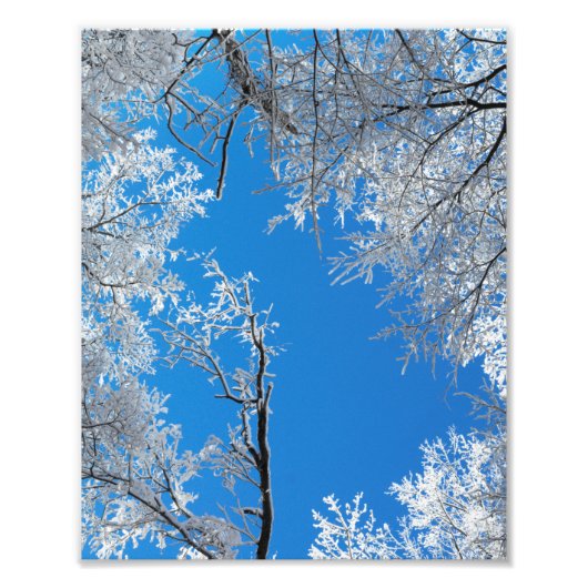 Besneeuwd winterlandschap foto afdruk (Voorkant)