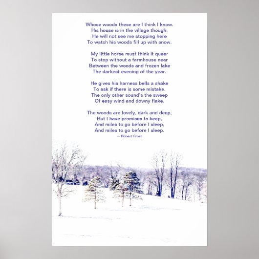 Besneeuwd winterlandschap poster (Voorkant)
