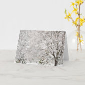 Besneeuwd Winterwoud Kaart (Gele Bloem)