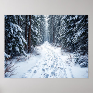 Besneeuwd winterwoudpad met voetsporen wandelen poster