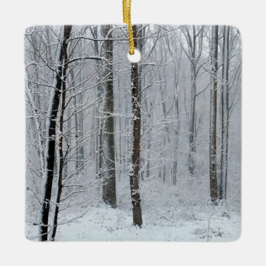 Besneeuwd Witte Populierenbos Keramisch Ornament (Voorkant)