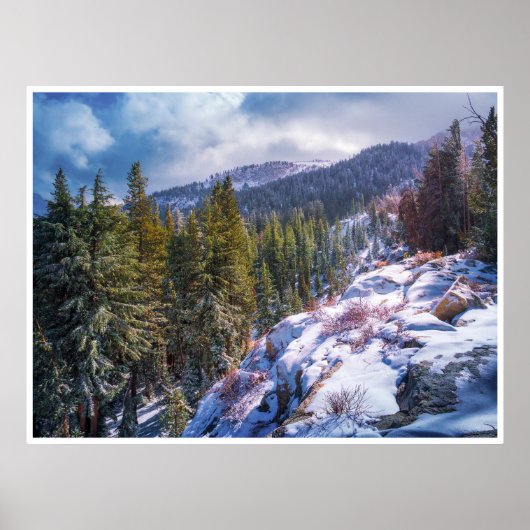 Besneeuwde bergbos muurkunst | Winter Sierra Poster (Voorkant)