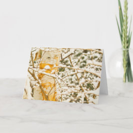 Besneeuwde Berk Feestdagen Kaart