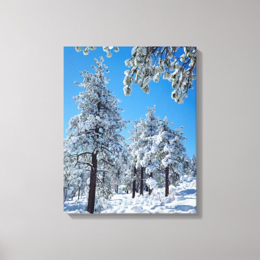 Besneeuwde bomen in de Laguna Mountains Canvas Afdruk (Voorkant)