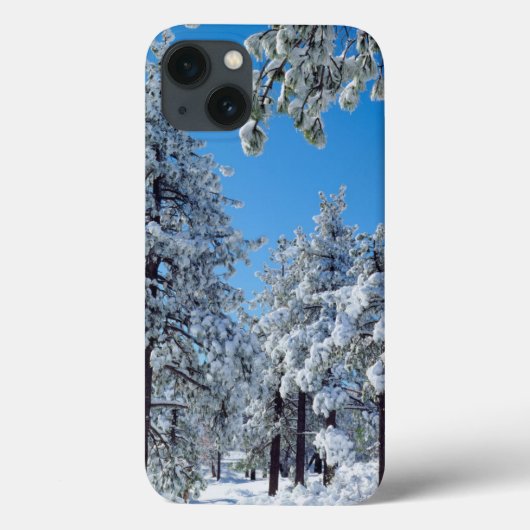 Besneeuwde bomen in de Laguna Mountains Case-Mate iPhone Case (Achterkant)