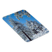 Besneeuwde bomen in de Laguna Mountains Magneet (Rechterzijde)