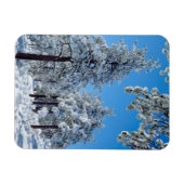Besneeuwde bomen in de Laguna Mountains Magneet (Horizontaal)