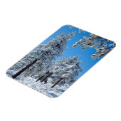 Besneeuwde bomen in de Laguna Mountains Magneet (Linkerzijde)
