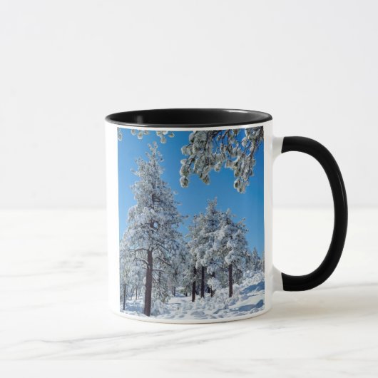 Besneeuwde bomen in de Laguna Mountains Mok (Rechts)