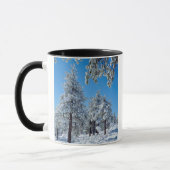 Besneeuwde bomen in de Laguna Mountains Mok (Links)