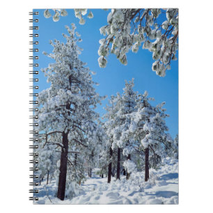 Besneeuwde bomen in de Laguna Mountains Notitieboek