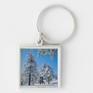 Besneeuwde bomen in de Laguna Mountains Sleutelhanger