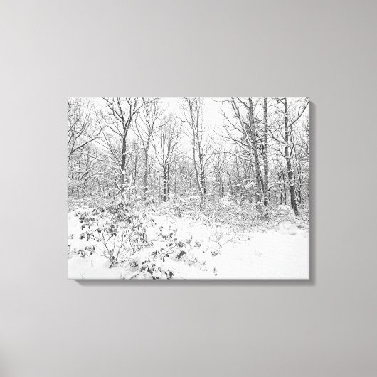 Besneeuwde bomen in de Poconos Canvas Afdruk (Voorkant)