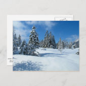 Besneeuwde bomen, winterlandschap briefkaart (Voorkant / Achterkant)