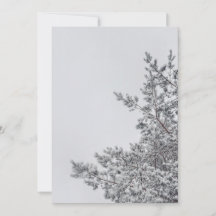 Besneeuwde den, Scandinavische Kerstsfeer