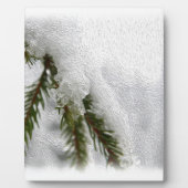 Besneeuwde dennen fotoplaat (Voorkant)