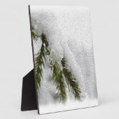 Besneeuwde dennen fotoplaat (Zijkant)