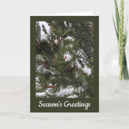 Besneeuwde dennenappels gevouwen kerstkaart feestdagen kaart