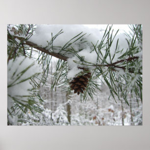 Besneeuwde dennentak Winter Natuurfotografie Poster