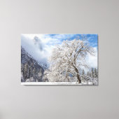 besneeuwde eik canvas afdruk (Voorkant)