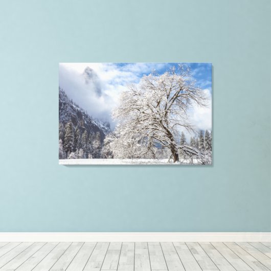 besneeuwde eik canvas afdruk (Insitu (Houten vloer))