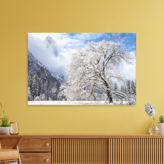 besneeuwde eik canvas afdruk (Insitu (Woonkamer))