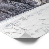 besneeuwde eik poster (Hoek)