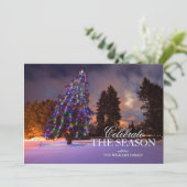 Besneeuwde Kerstboom met Lichten bij Dusk Kaart (Staand voorkant)