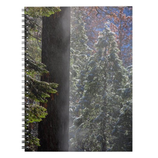 Besneeuwde nevel in het bos notitieboek (Voorkant)
