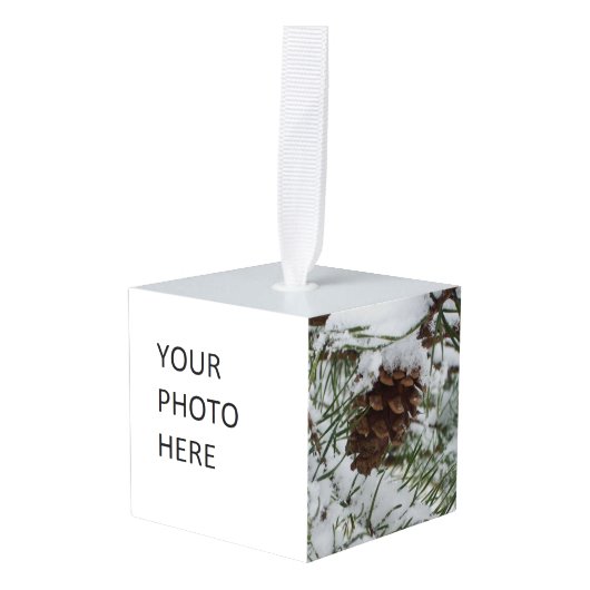 Besneeuwde pijnappel I Winter Natuurfotografie Decoratie (Voorkant hoekig)