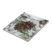 Besneeuwde pijnappel I Winter Natuurfotografie Tegeltje (Zijkant)