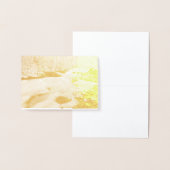 Besneeuwde Stroom in The Smokies Folie Kaarten (Display)