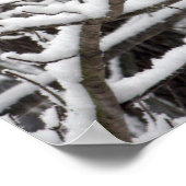Besneeuwde takken poster (Hoek)