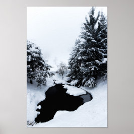 Besneeuwde vijver en bomen die in de mist verdwijn poster